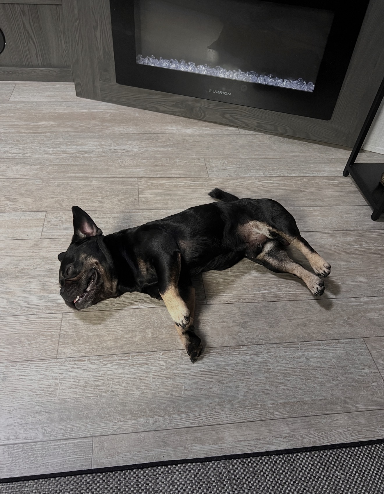 Onyx stretched out for a nap by the fireplace